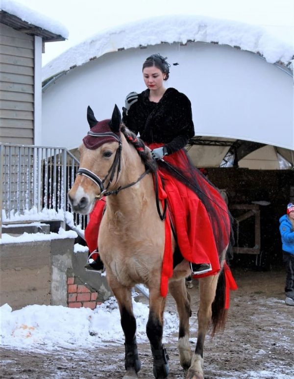 Ridebaneteltstrukturer